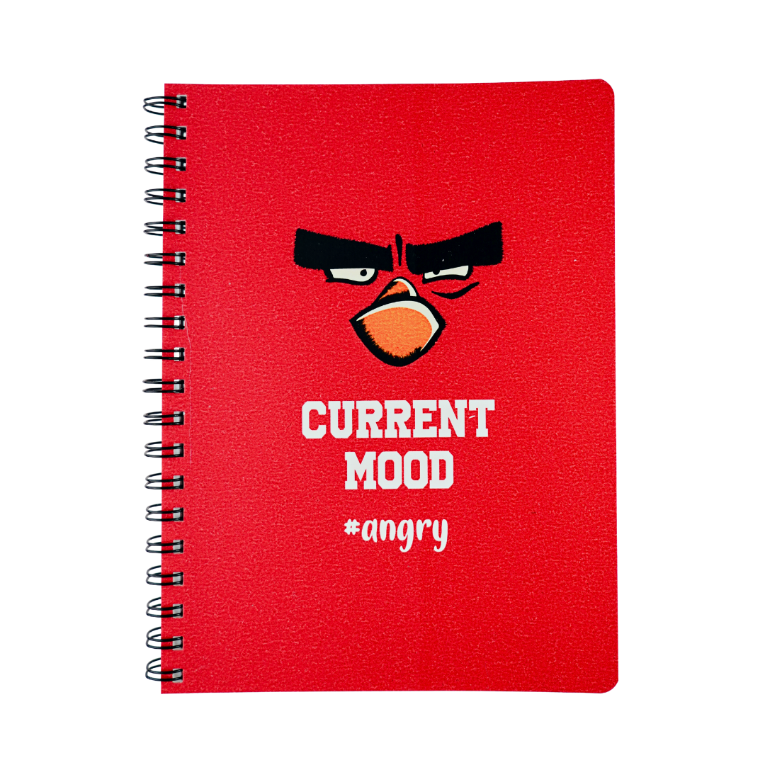Quirky Notebook / (Angry Bird )